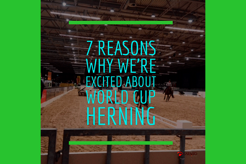 Here’s 7 Reasons Why We’re Excited About World Cup Herning